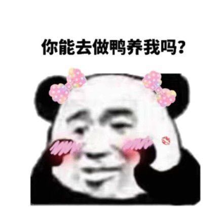 群聊二姑夫傻屌斗图表情包