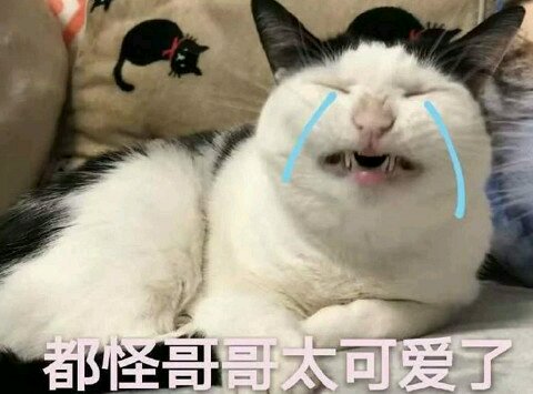 群聊搞怪恶搞傻屌微信表情包