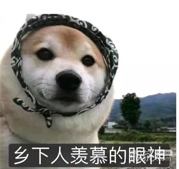 群聊二姑夫傻屌斗图表情包