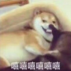 群聊二姑夫傻屌斗图表情包