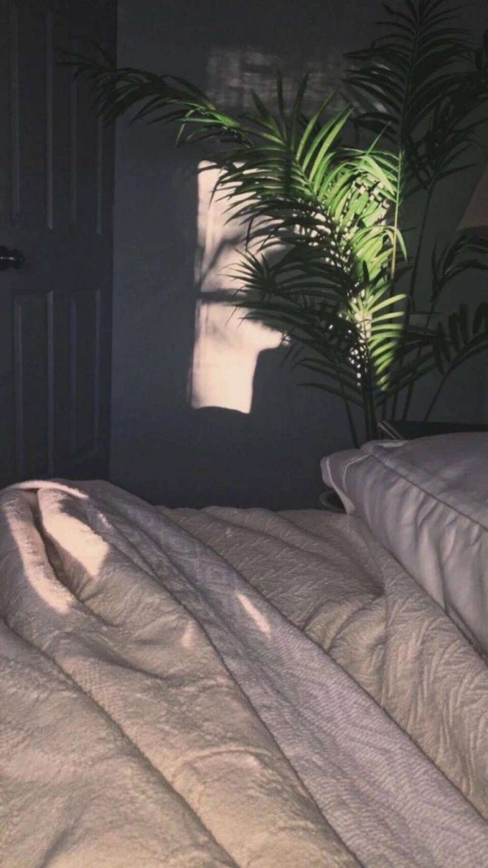 清新好看手机壁纸