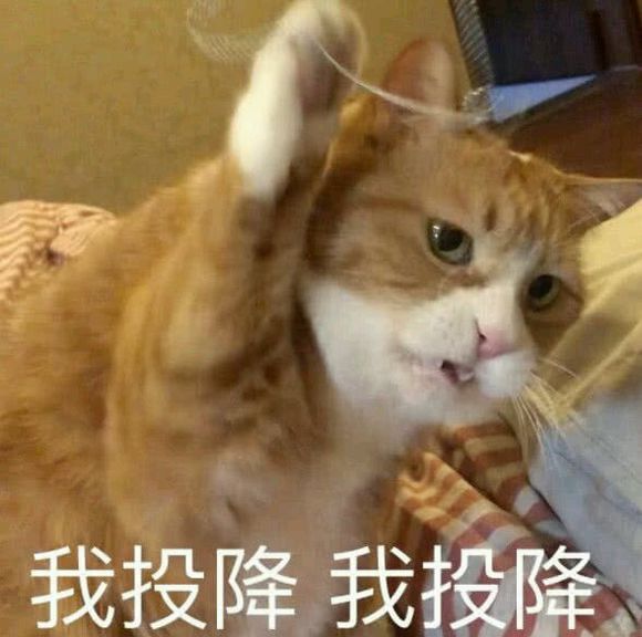 群聊搞怪恶搞傻屌微信表情包