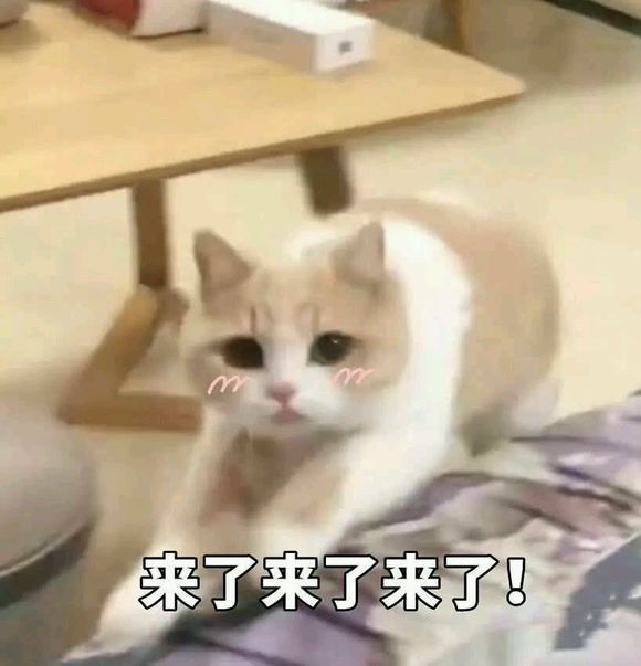 群聊搞怪恶搞傻屌微信表情包