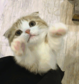 群聊搞怪恶搞傻屌微信表情包