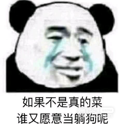 微信近期斗图恶搞表情包2019/5/1