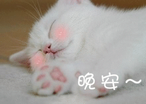 微信粉嫩可爱斗图表情包