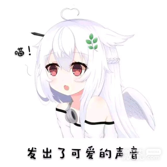 微信搞怪傻屌逗比二次元斗图表情包