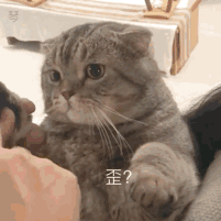 微信粉嫩可爱斗图表情包