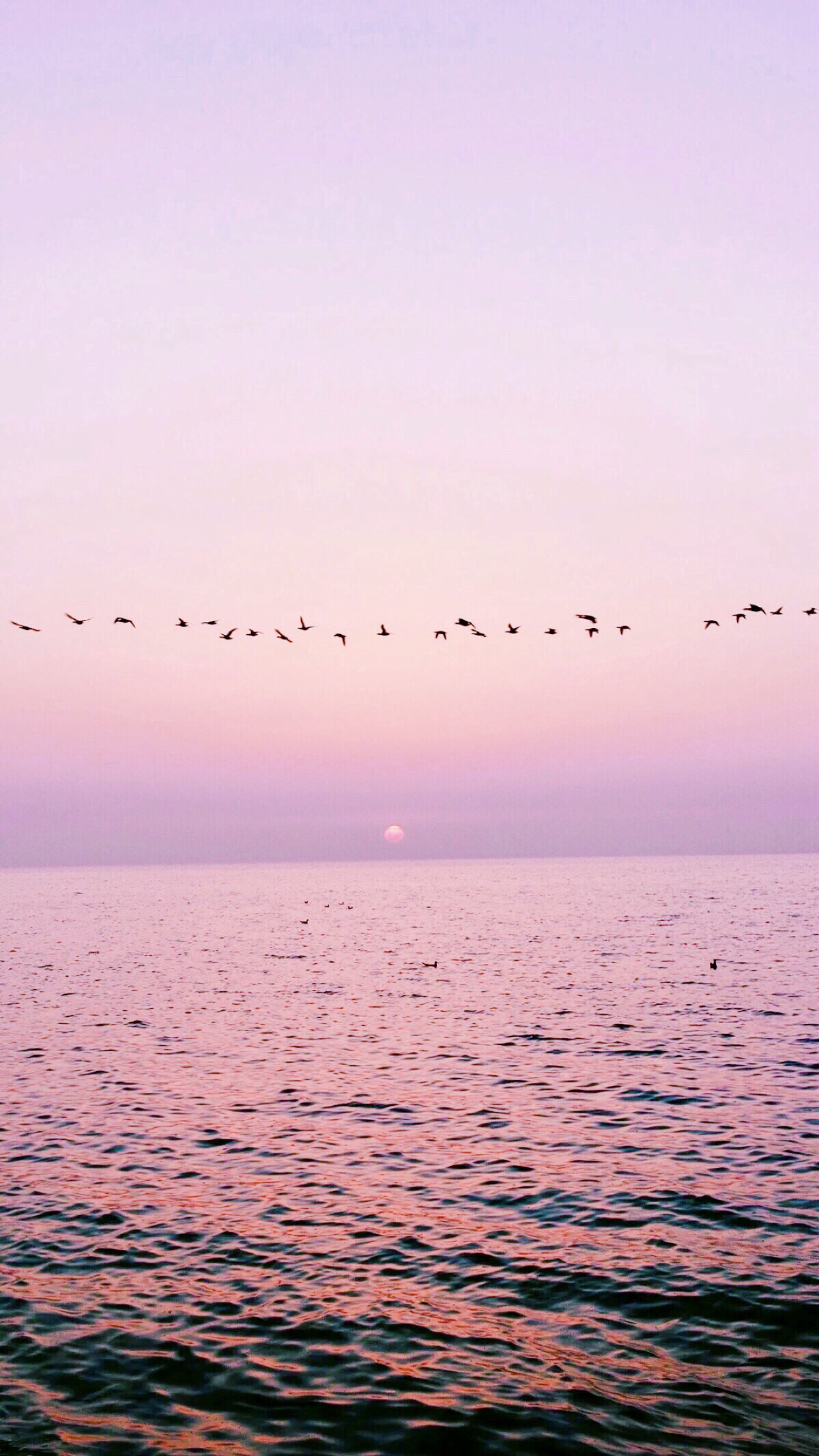 微唯美清新手机壁纸