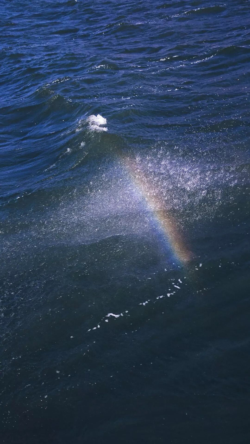 简洁清新好看海洋手机壁纸