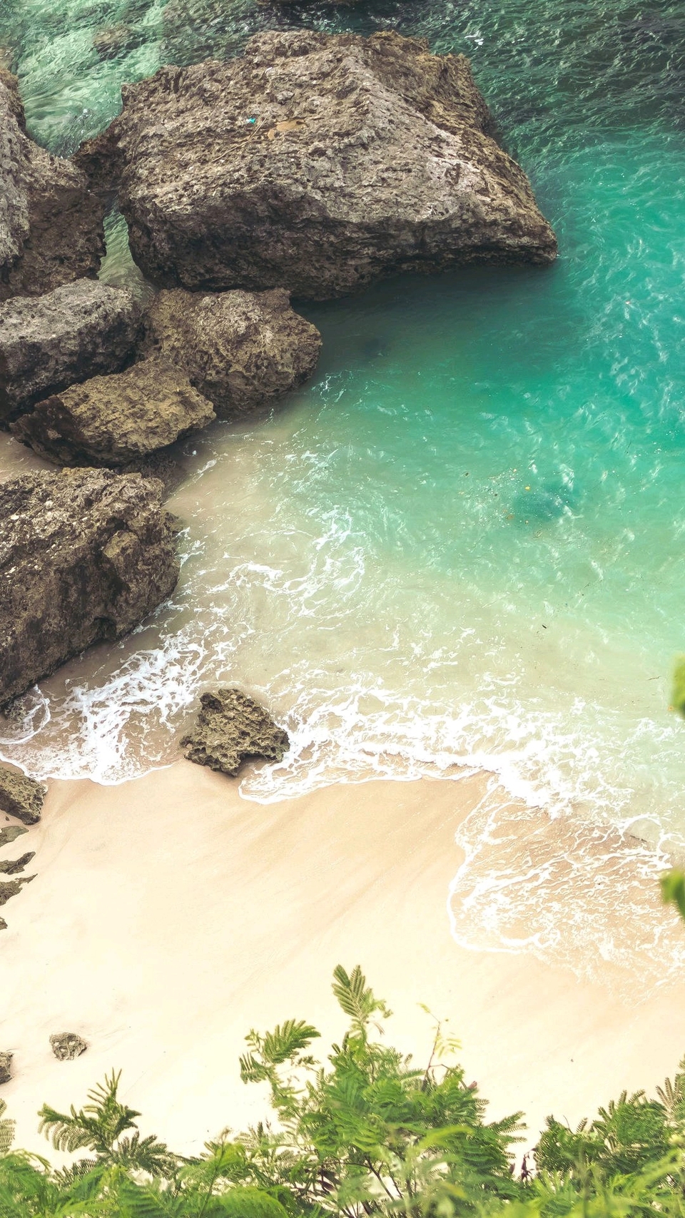 清新好看唯美手机壁纸