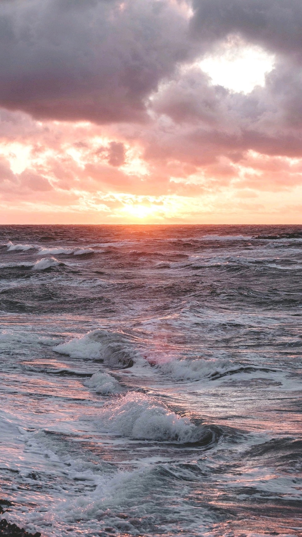 微唯美清新手机壁纸