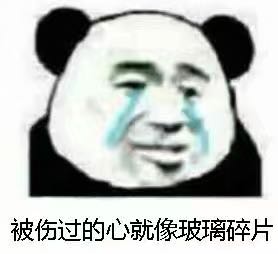 微信聊天搞怪傻屌斗图表情包