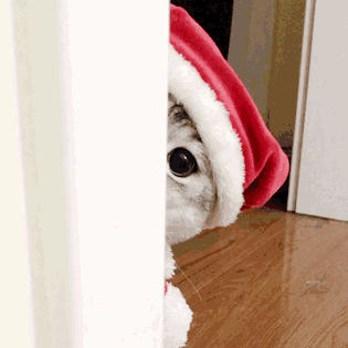 微信粉嫩可爱斗图表情包