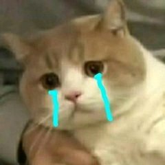 微信粉嫩可爱斗图表情包