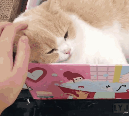 微信粉嫩可爱斗图表情包