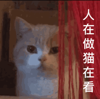 微信粉嫩可爱斗图表情包