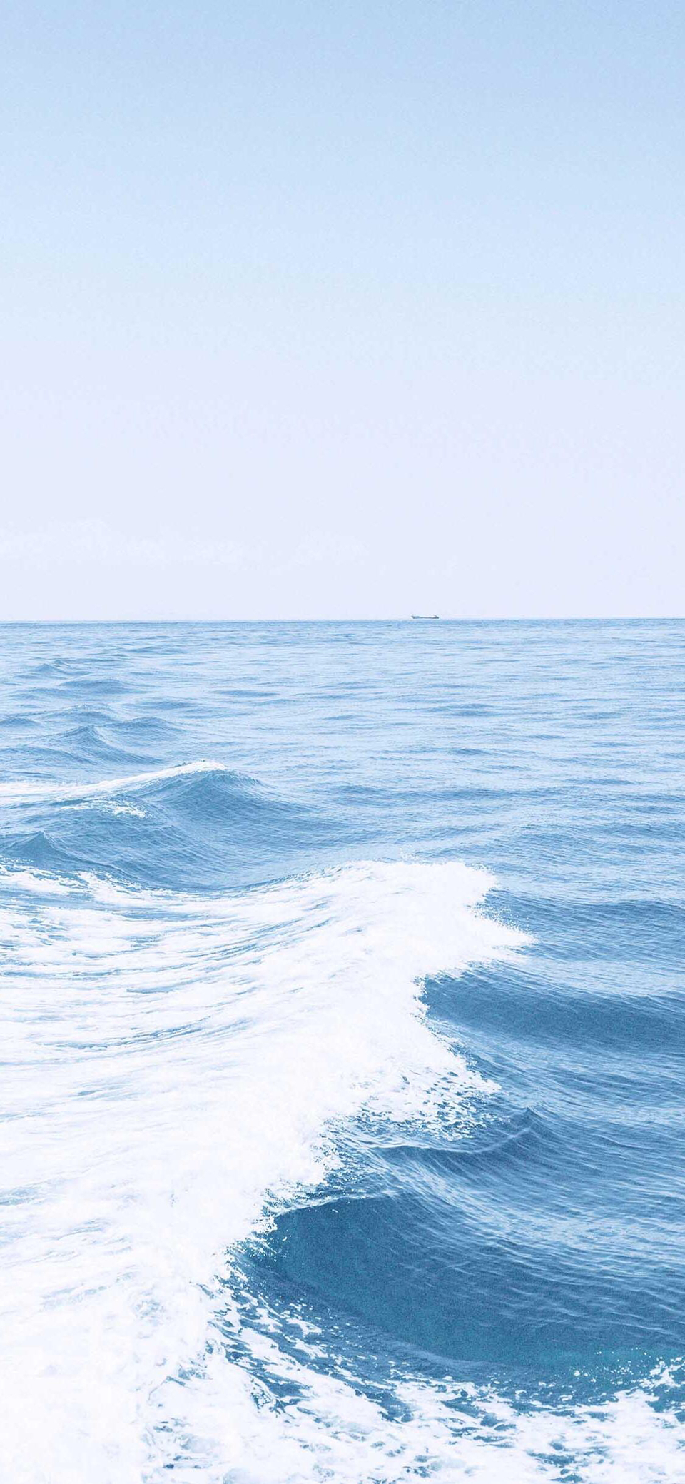 清新好看唯美手机壁纸