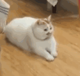 微信粉嫩可爱斗图表情包