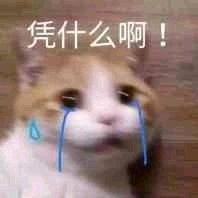 微信粉嫩可爱斗图表情包