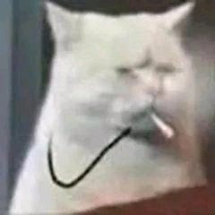 微信粉嫩可爱斗图表情包