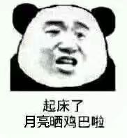 太虚伪了微信恶搞熊猫头斗图表情包