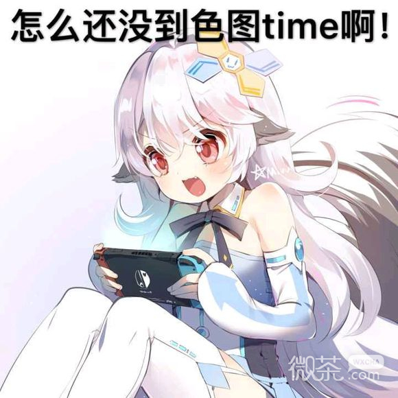 微信搞怪傻屌逗比二次元斗图表情包