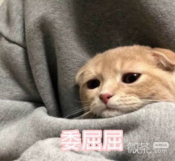 逗比群聊斗图微信表情包