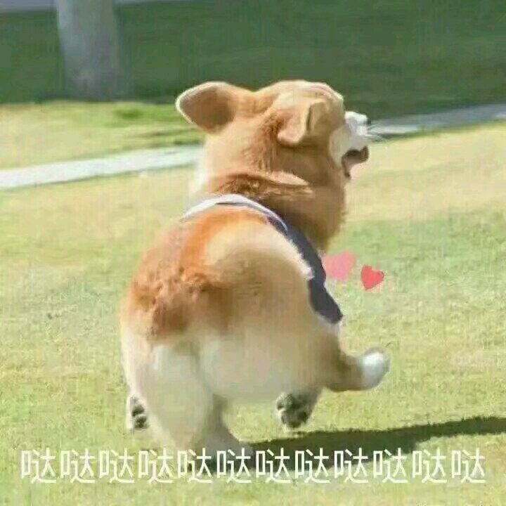 强颜欢笑微信恶搞傻屌斗图表情包