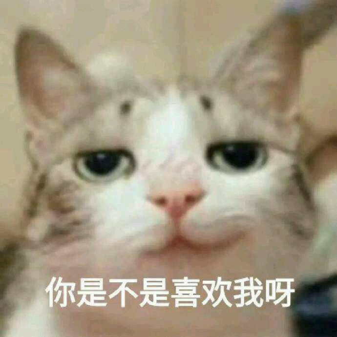 微信调皮搞怪恶搞斗图表情包