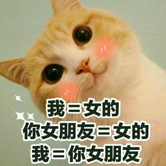 微信近期恶搞斗图表情包2019/5/5