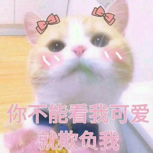 微信近期恶搞斗图表情包2019/5/5