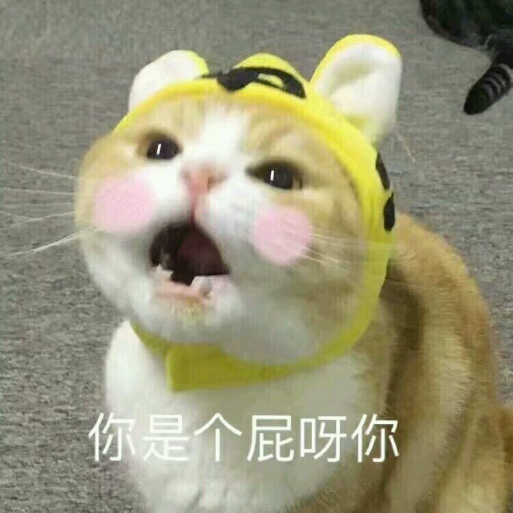 微信调皮搞怪恶搞斗图表情包