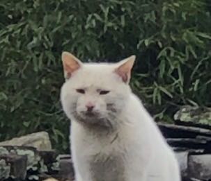 微信近期恶搞斗图表情包2019/5/5