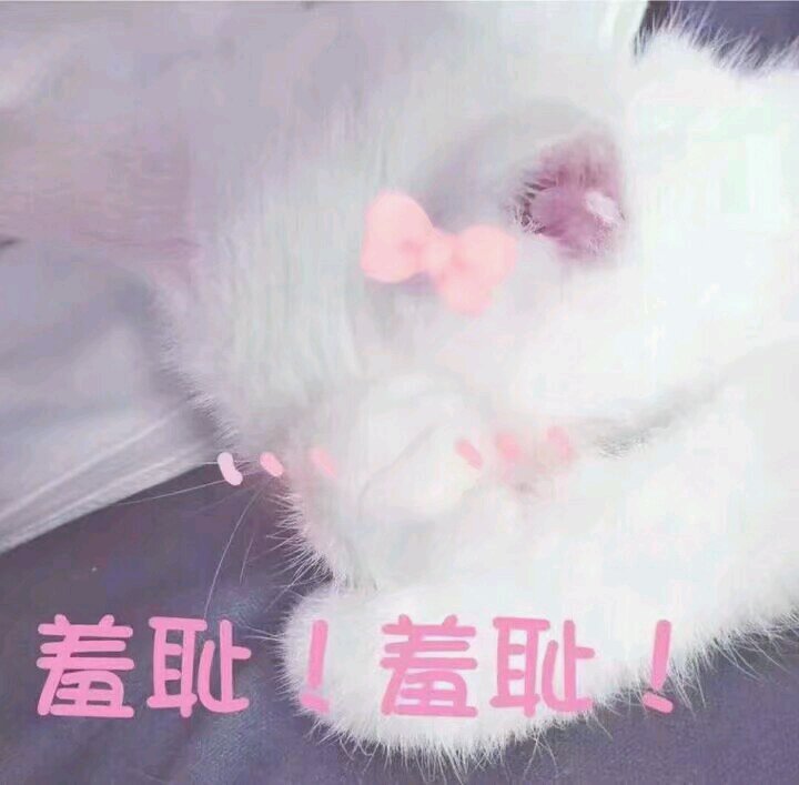 强颜欢笑微信恶搞傻屌斗图表情包