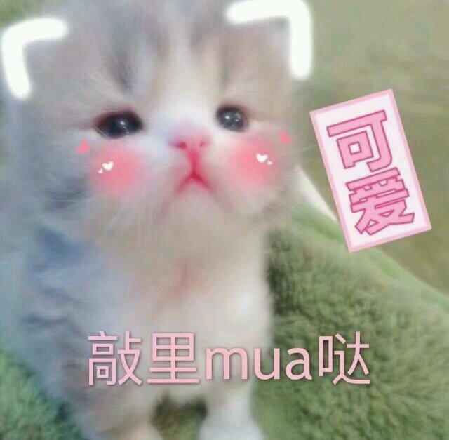 微信调皮搞怪恶搞斗图表情包