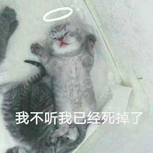 强颜欢笑微信恶搞傻屌斗图表情包