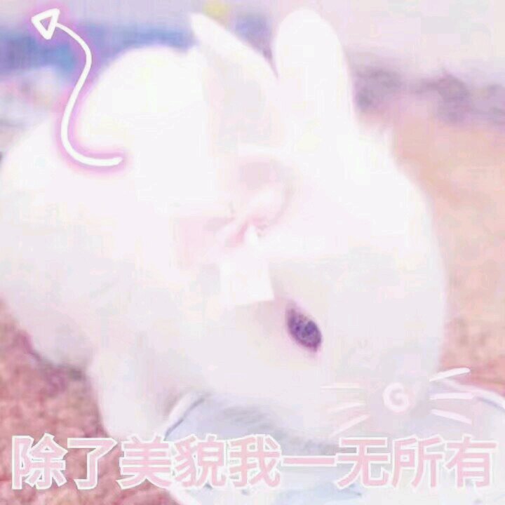 强颜欢笑微信恶搞傻屌斗图表情包