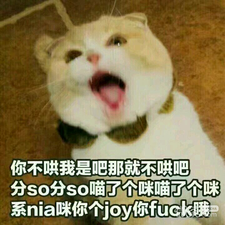 微信逗比搞怪傻屌斗图表情包