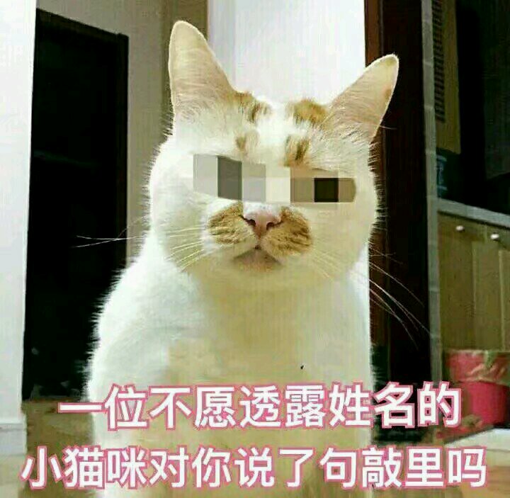 微信调皮搞怪恶搞斗图表情包