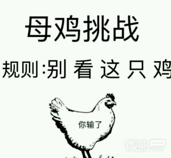 微信逗比搞怪傻屌斗图表情包