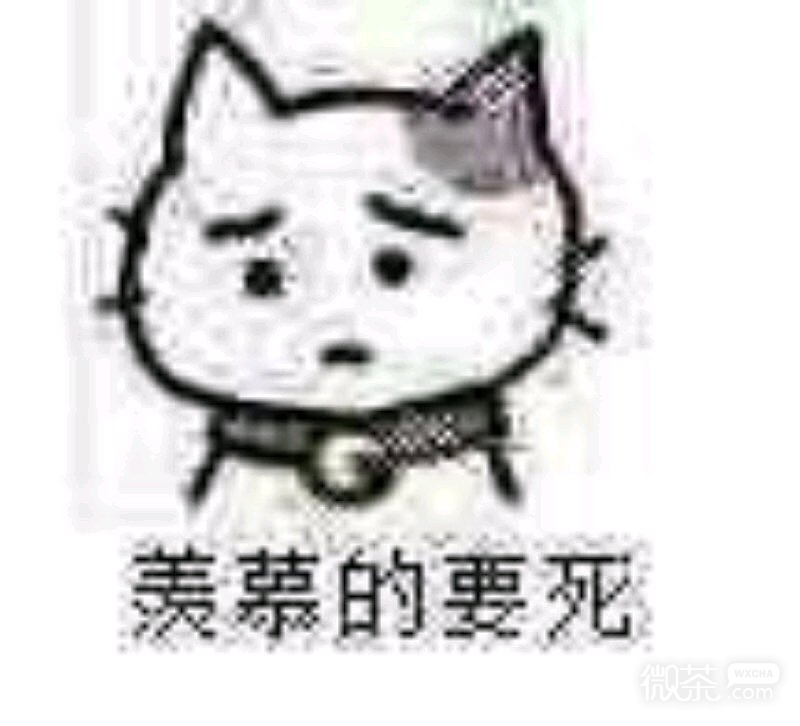微信近期恶搞斗图表情包2019/5/5