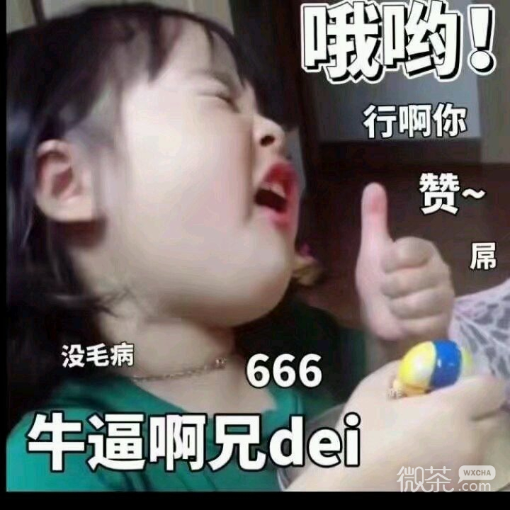 微信逗比搞怪傻屌斗图表情包