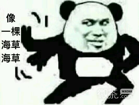 微信逗比搞怪傻屌斗图表情包