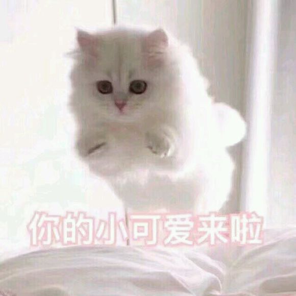 微信近期恶搞斗图表情包2019/5/5