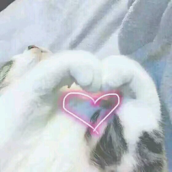 微信调皮搞怪恶搞斗图表情包