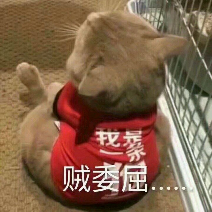 微信近期恶搞斗图表情包2019/5/5