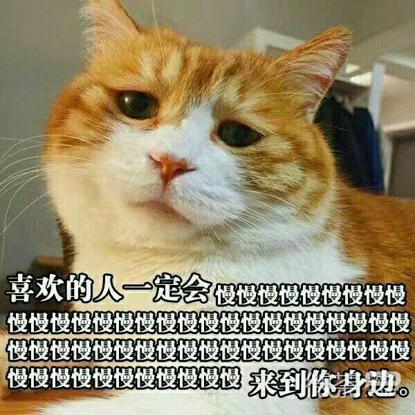 微信逗比搞怪傻屌斗图表情包