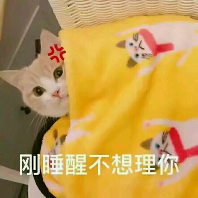 戏精微信恶搞傻屌斗图表情包