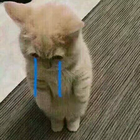 微信近期恶搞斗图表情包2019/5/5